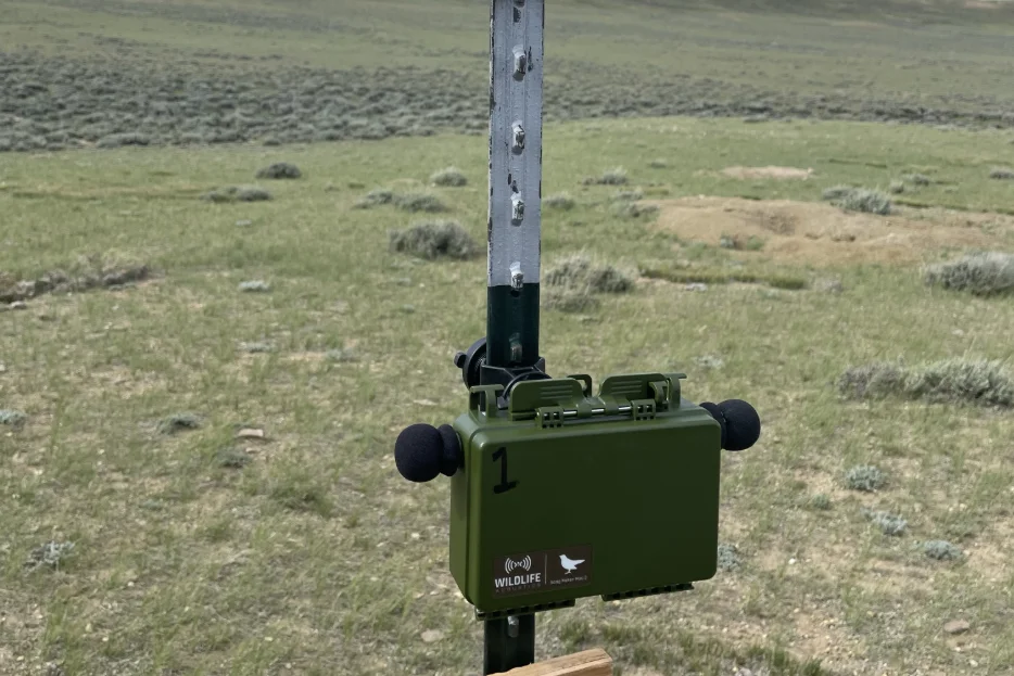 An acoustic recorder deployed in Wyoming sagebrush steppe