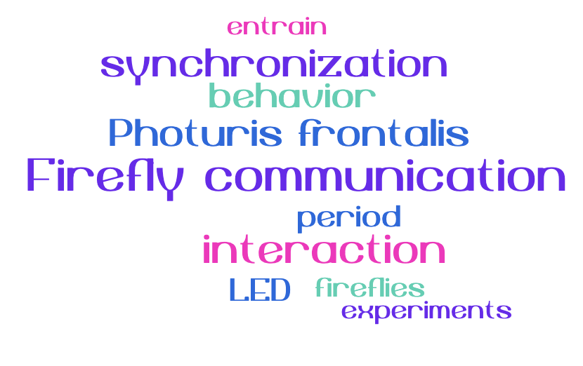 Wordcloud of my work in synchronization dynamics