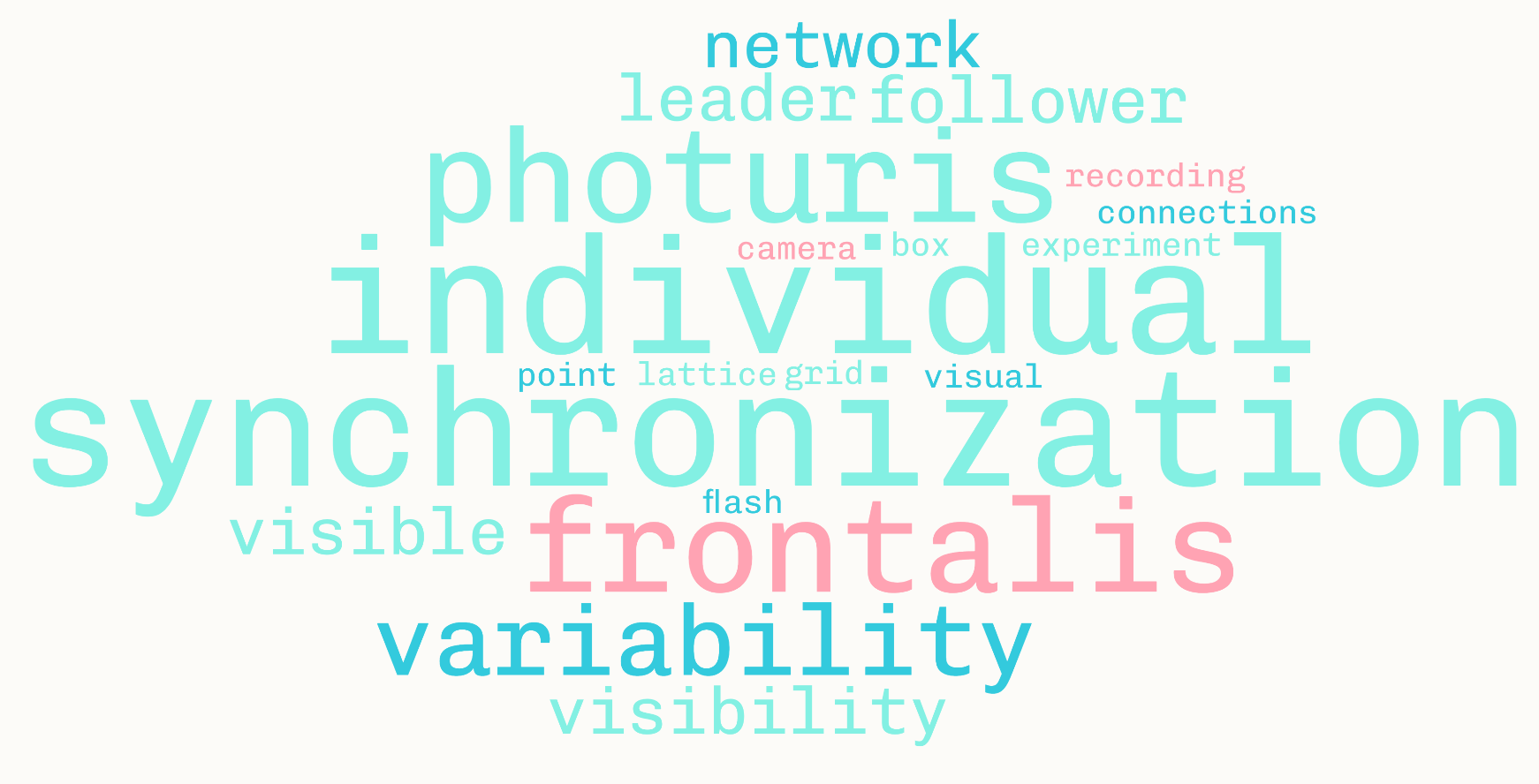 Wordcloud of my work documenting individual variability and how it contributes to and benefits from group synchronization